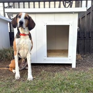 Flex Doghouse - Small